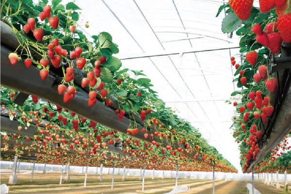 <岡山>津山城・鶴山公園と備前焼登り窯ご見学【明石・西神中央・緑が丘出発】3